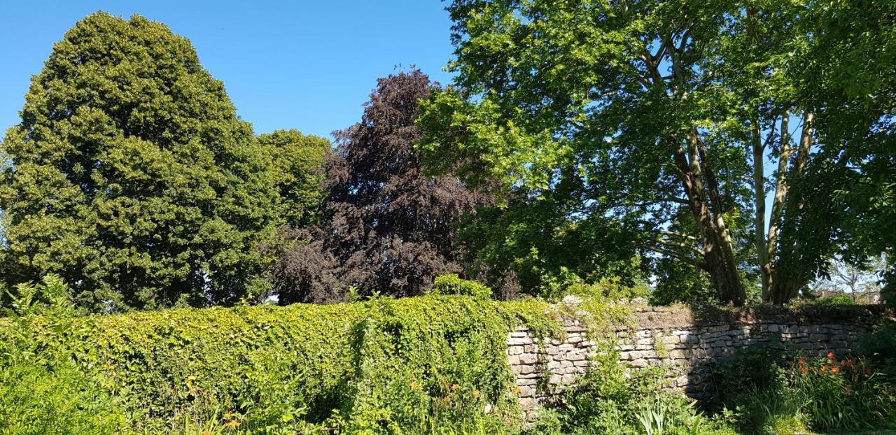 Le 49 Cote Parc & Spa Domblans Bagian luar foto