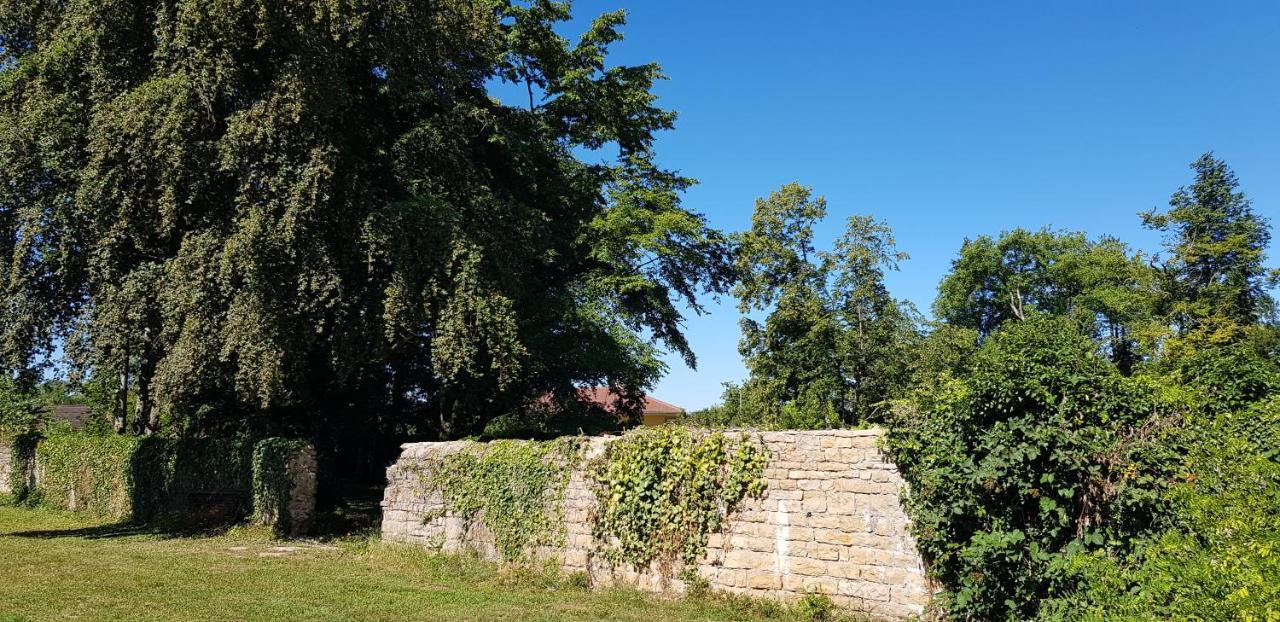 Le 49 Cote Parc & Spa Domblans Bagian luar foto